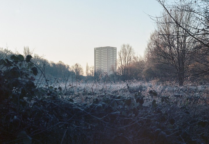 A tall building rises above a field covered in frost with bare trees in the foreground and background.