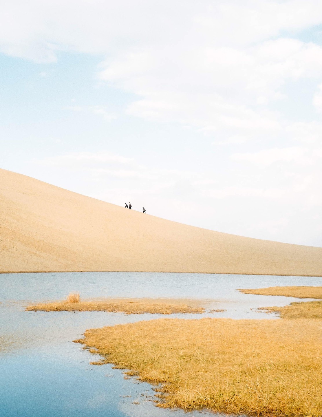 Three people walk along the ridge of a large sand dune next to a body of water with patches of dry grass.