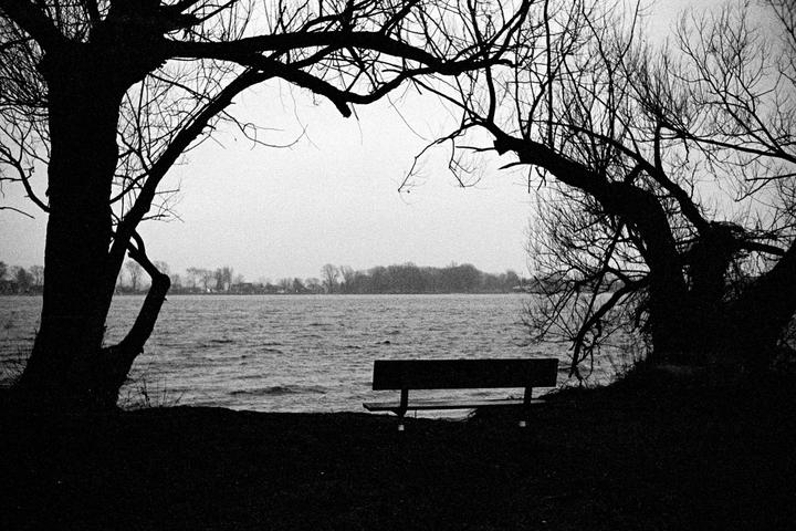 A park bench sits by a lake, framed by two trees with bare branches.