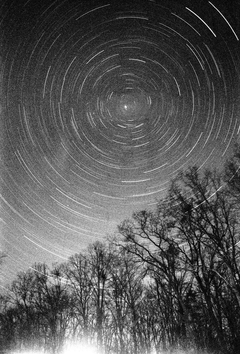 Star trails circle Polaris above a forest at night.