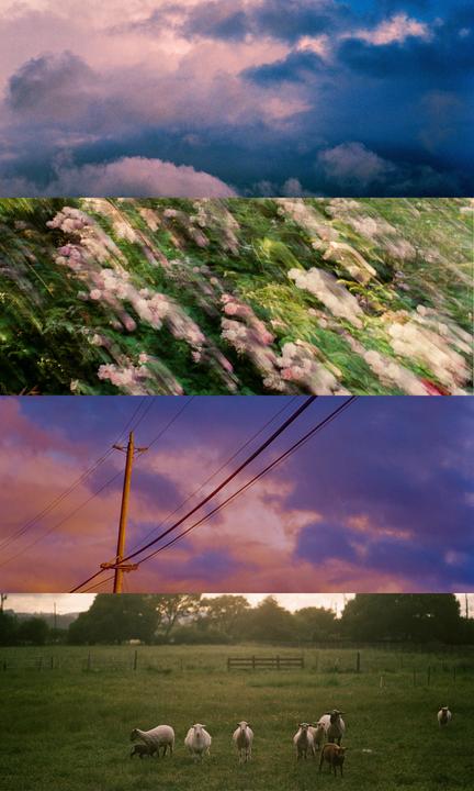 A triptych shows a cloudy sky, blurred flowers, and sheep in a field under a dramatic sky with a utility pole.