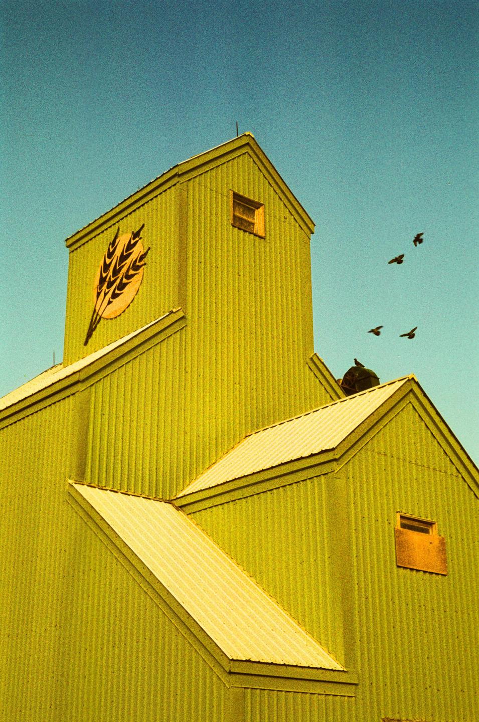 A yellow grain elevator with a wheat logo is visible under a blue sky with birds flying.