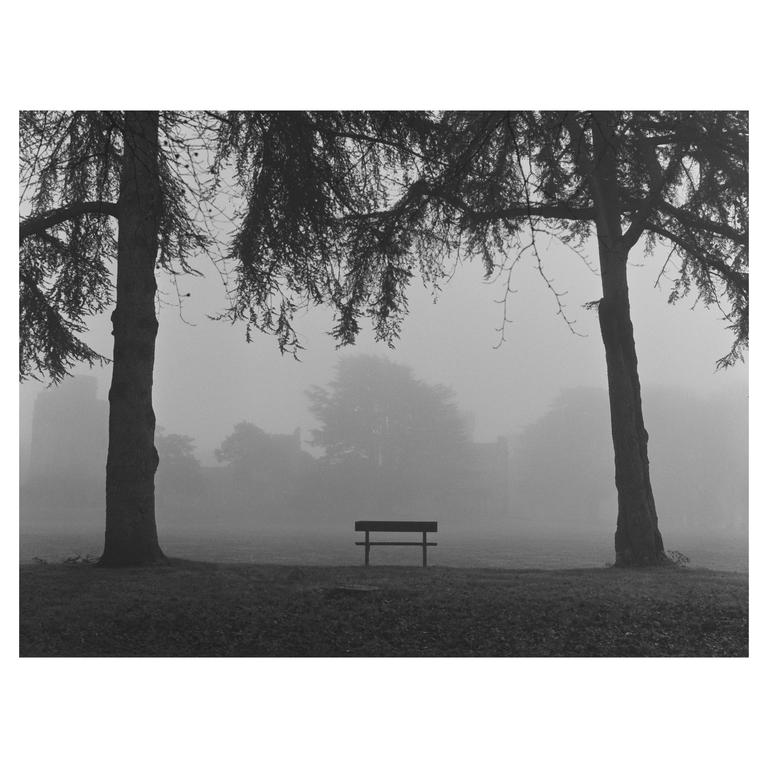 A park bench sits between two large trees in a foggy landscape.