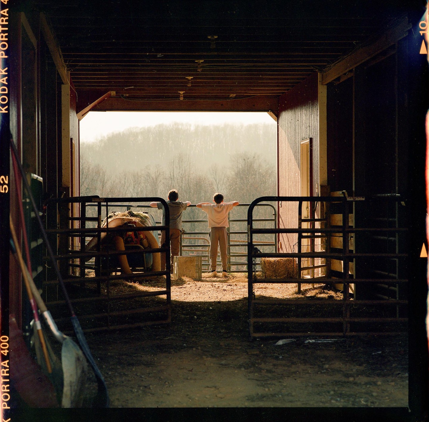 Two boys stand with their backs to the camera, looking out from a barn at a hazy forest.