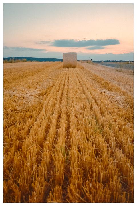 A single hay bale sits in a field of cut wheat stalks under a pastel sky.