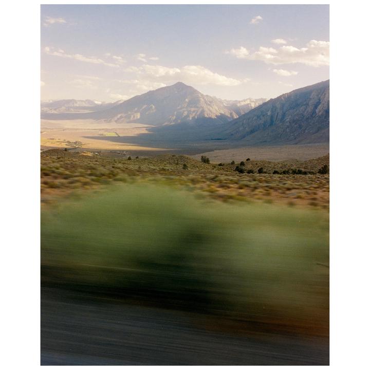 A mountain range rises above a valley with a blurred foreground of green and brown foliage.