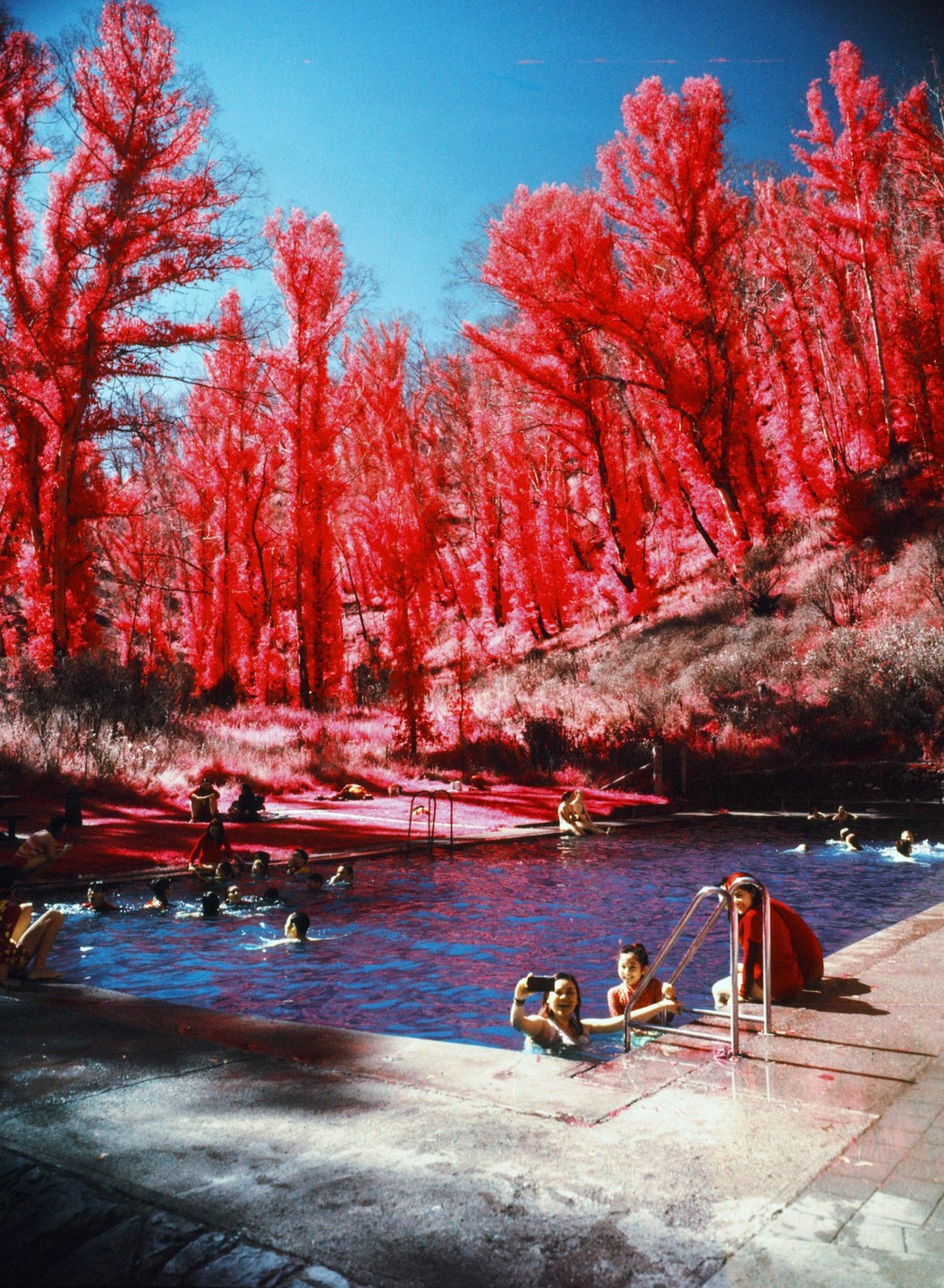People swim in a pool surrounded by trees with bright red foliage under a clear blue sky.