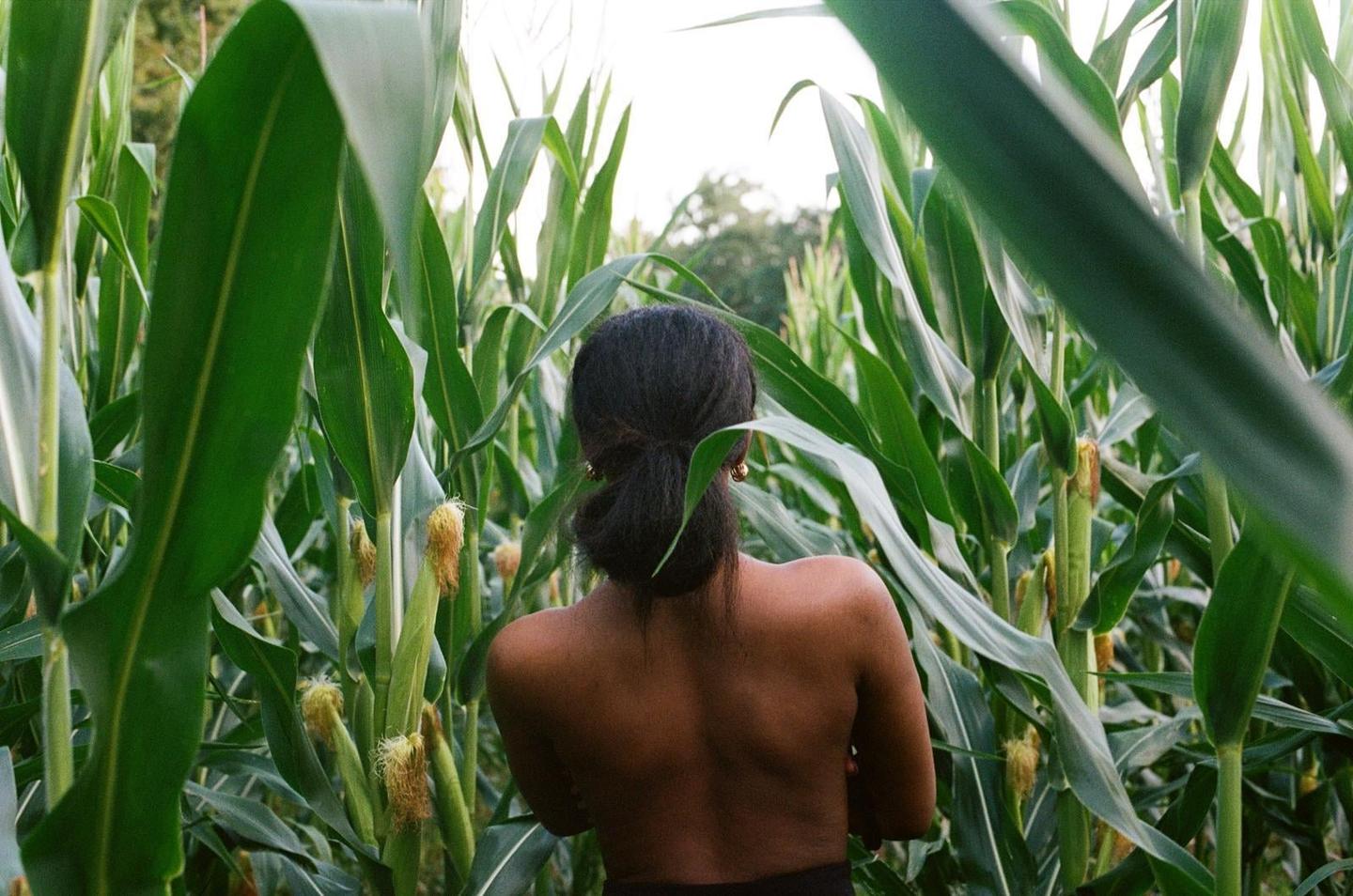 A woman stands with her back to the viewer in a field of corn.