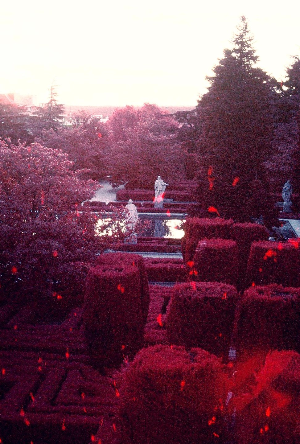 A garden with manicured hedges and statues is bathed in a surreal red and pink light.