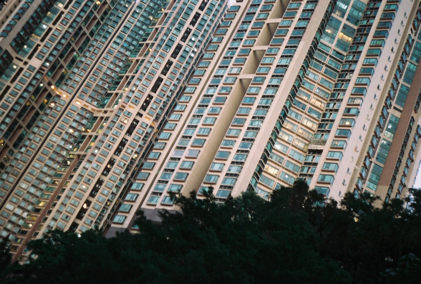 A tall residential building with many windows rises diagonally above a line of dark green trees.