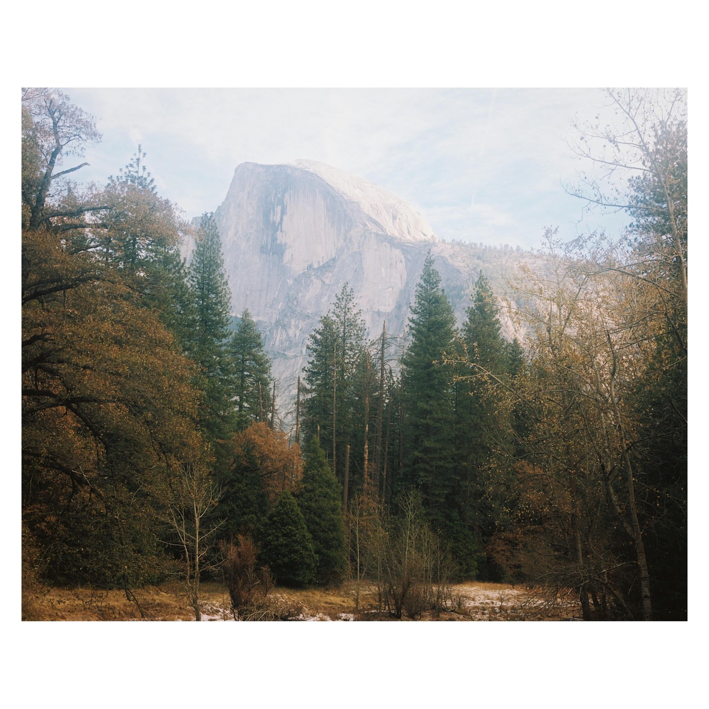 A large mountain rises above a forest with a light dusting of snow on the ground.