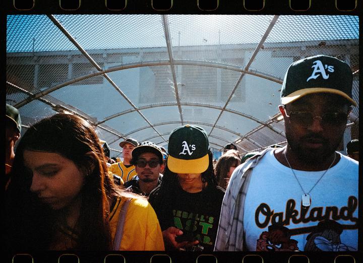 A crowd of people wearing Oakland A's baseball caps and shirts walk through a mesh tunnel.