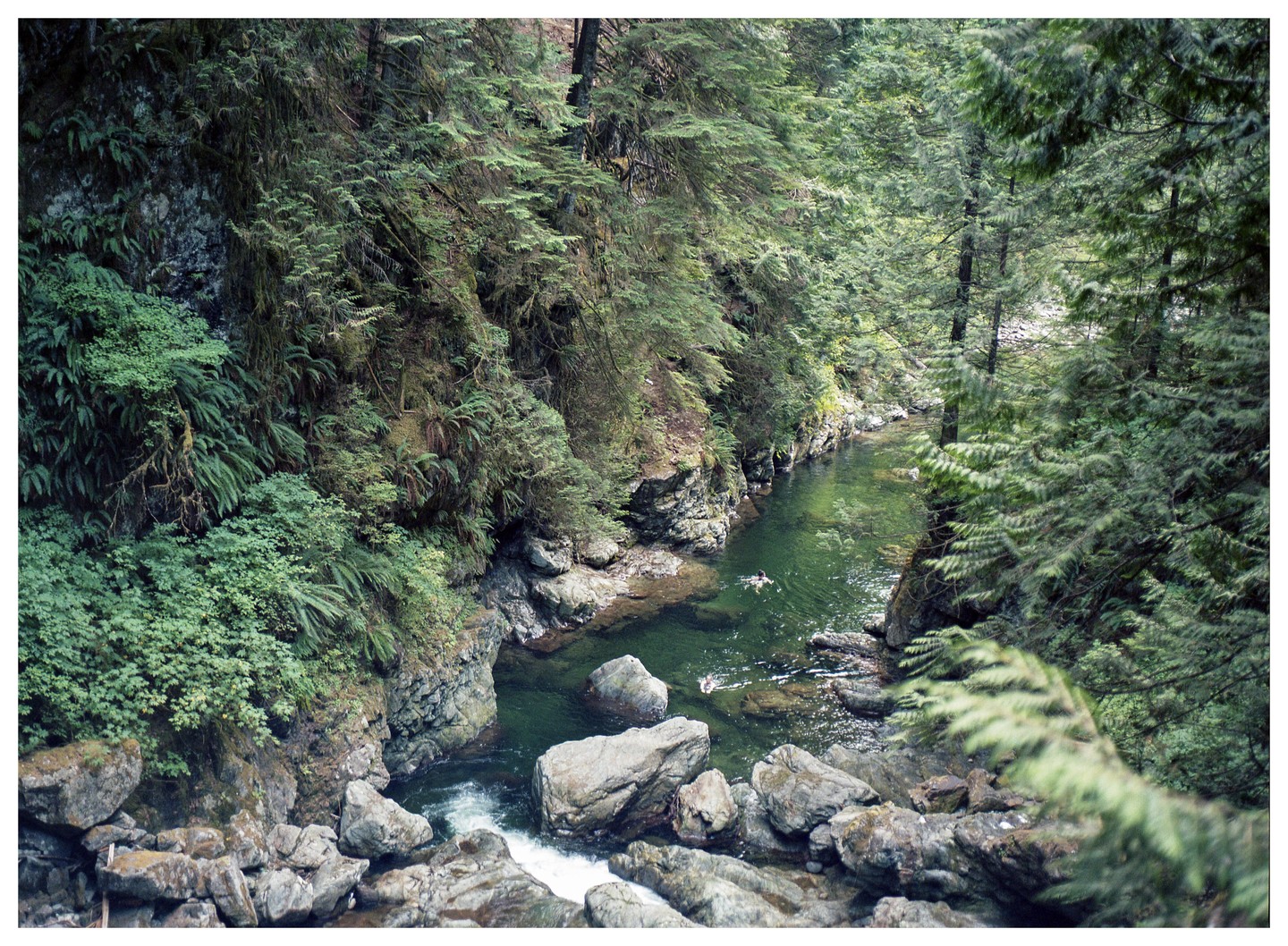 Two people swim in a green river surrounded by lush forest and rocks.