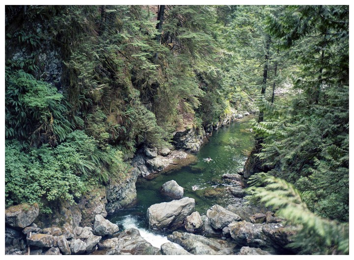 Two people swim in a green river surrounded by lush forest and rocks.