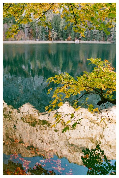 A lake reflects autumn foliage and a small wooden cabin on the far shore, framed by yellow leaves.