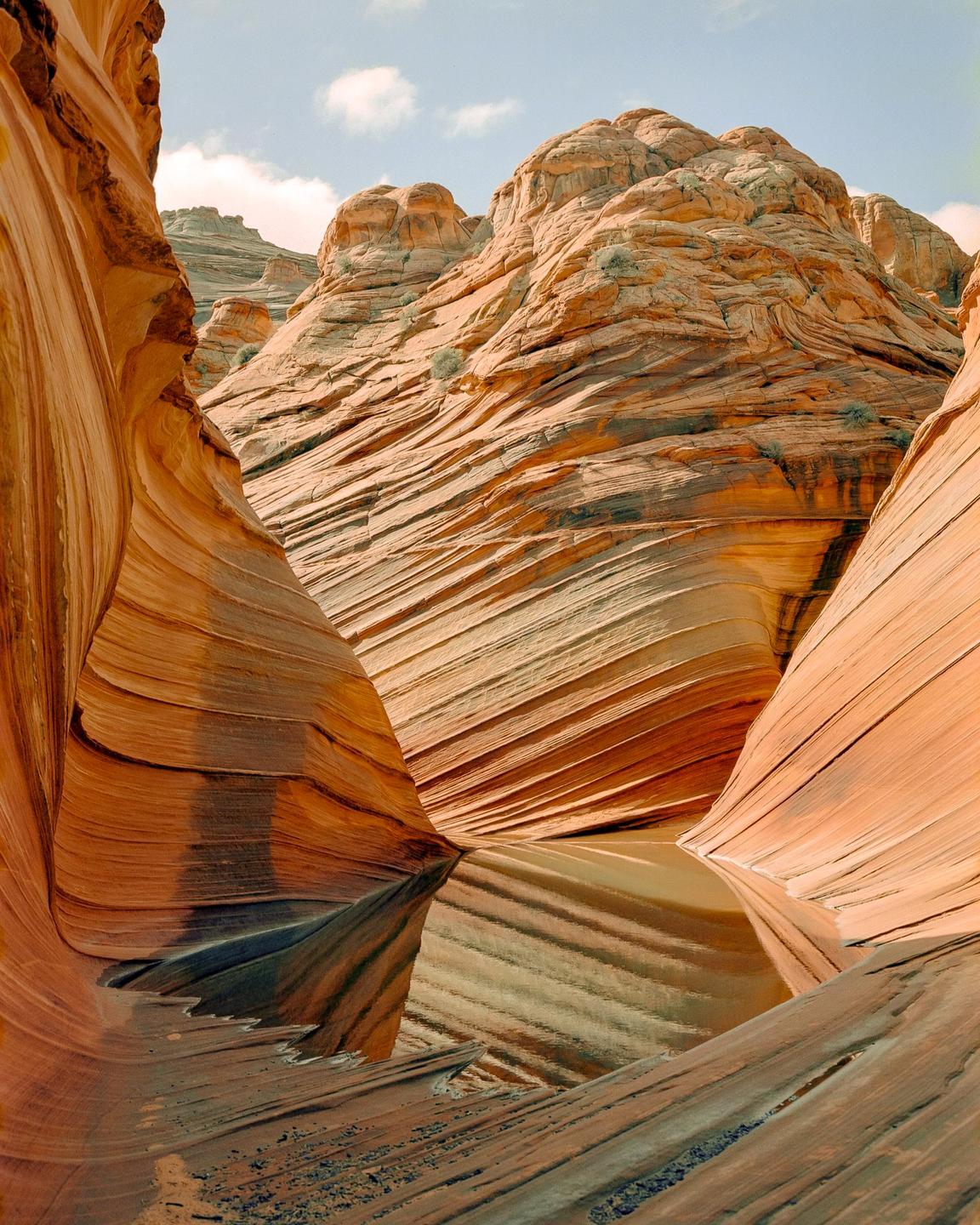 A pool of water reflects the wavy sandstone formations of a canyon.