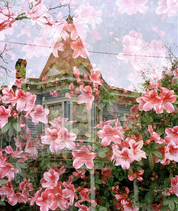 A double exposure shows pink azalea blossoms superimposed over a house with a turret and bay window.