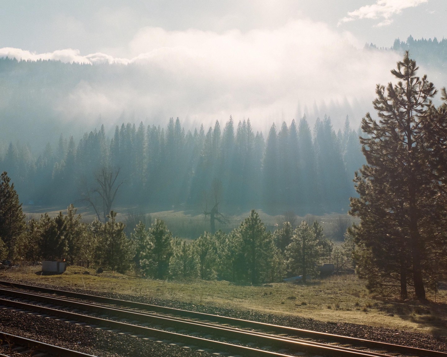Railroad tracks run alongside a forest shrouded in fog with mountains in the distance.