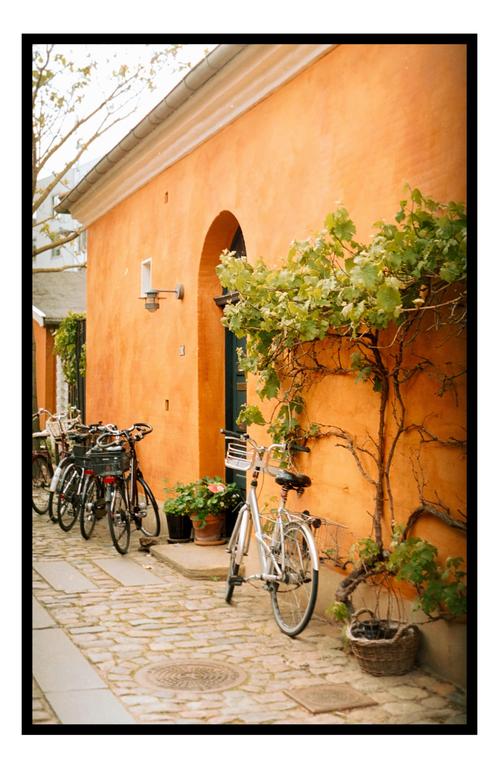 Bicycles are parked along a cobblestone street next to an orange building with an arched doorway and green foliage.