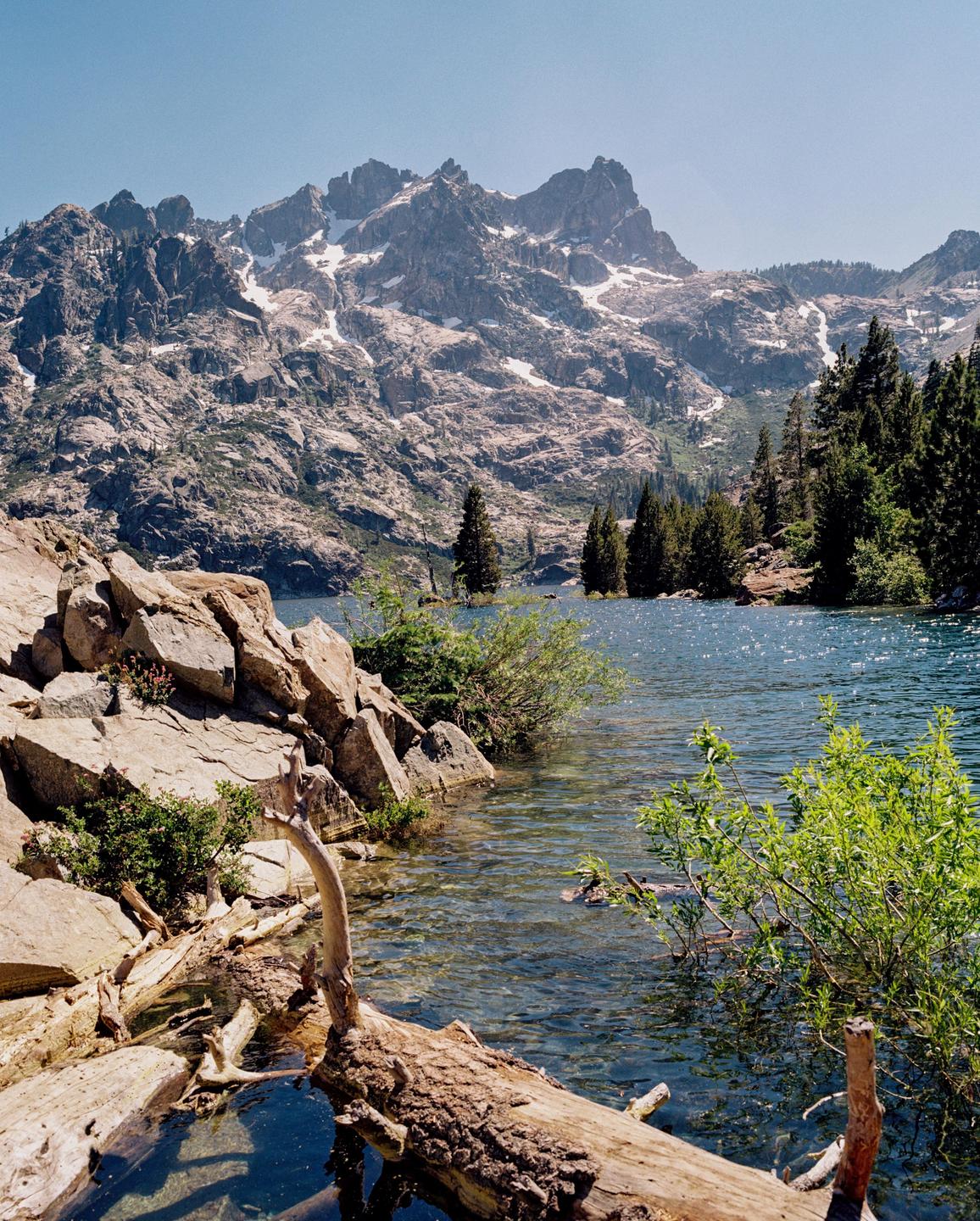 A clear lake with rocks and logs in the foreground is surrounded by pine trees and snow-capped mountains under a clear sky.