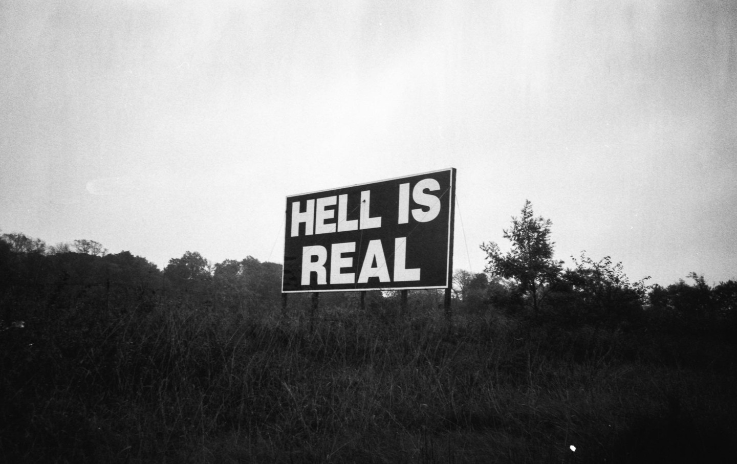 A "HELL IS REAL" sign stands in a field of tall grass with trees in the background.