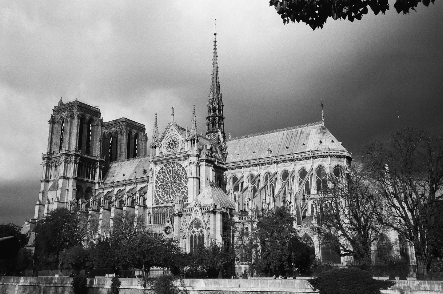 Notre-Dame Cathedral is visible from across the river with trees in the foreground and a dark, cloudy sky.
