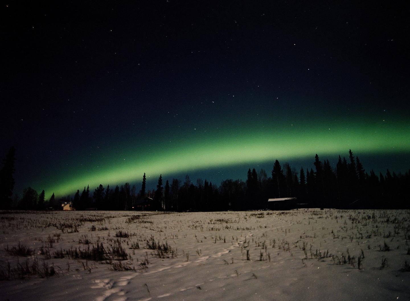 The aurora borealis glows green above a snowy field and a dark forest at night.
