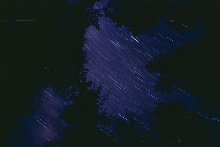 Star trails are visible through a dark tree canopy at night.