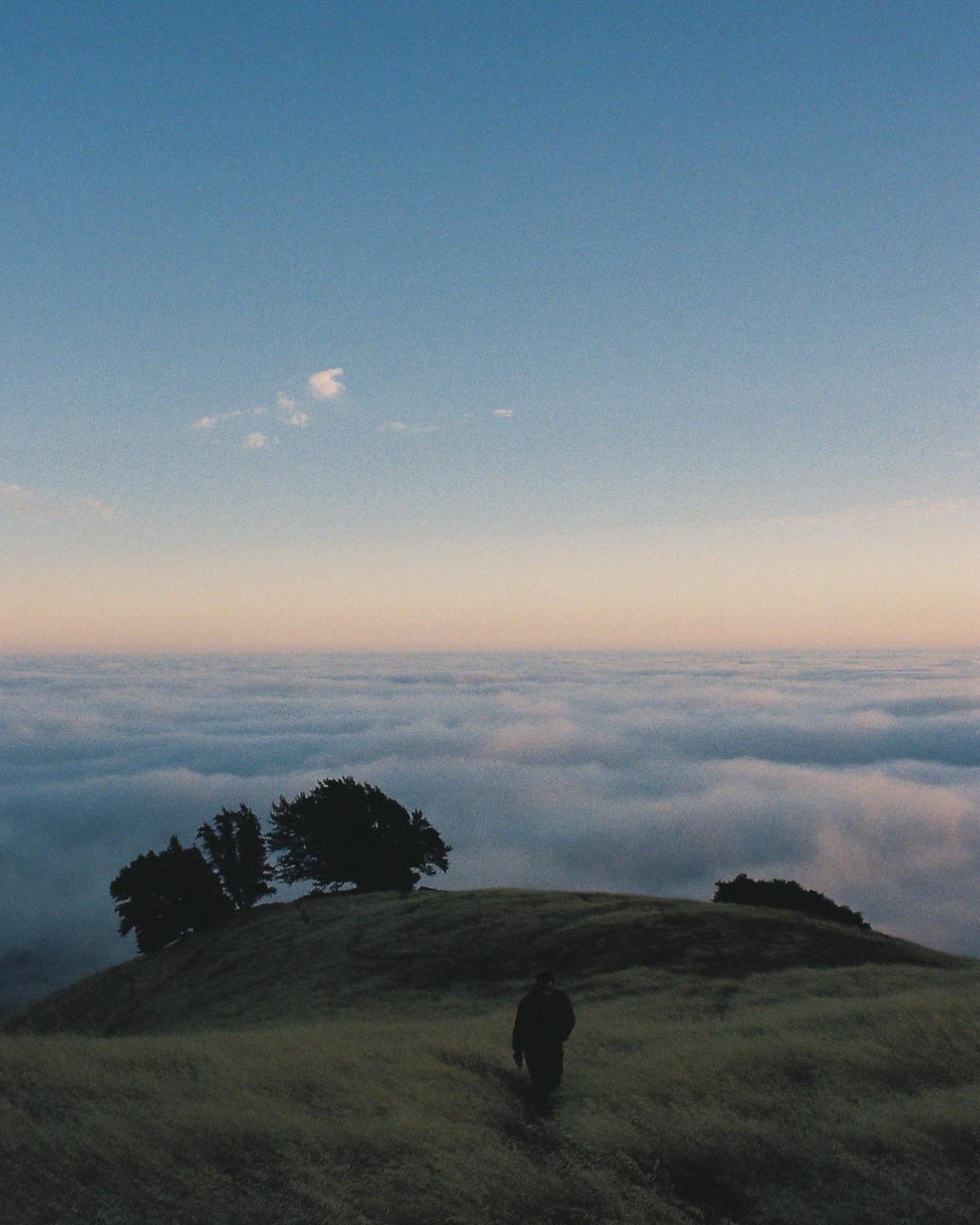 A man walks on a grassy hill overlooking a sea of clouds at dusk.