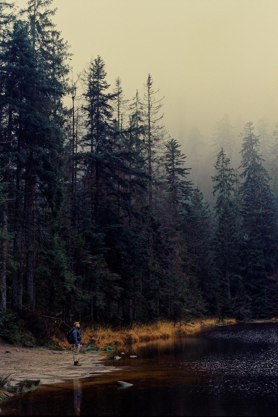 A man stands on the shore of a lake surrounded by a dense forest on a hazy day.