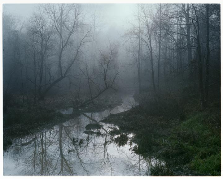 A narrow stream winds through a forest of bare trees on a misty morning.