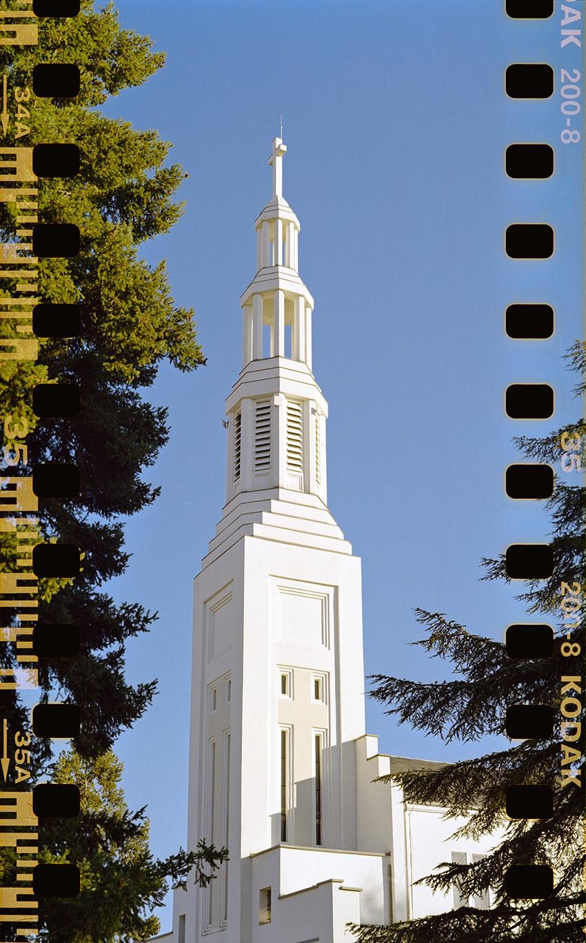 A white church steeple with a cross on top is framed by green trees against a clear blue sky.