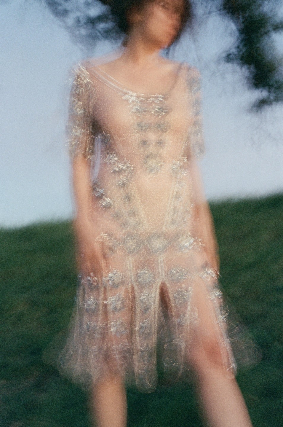 A woman in a sheer, embroidered dress stands in a field with a blurred background.