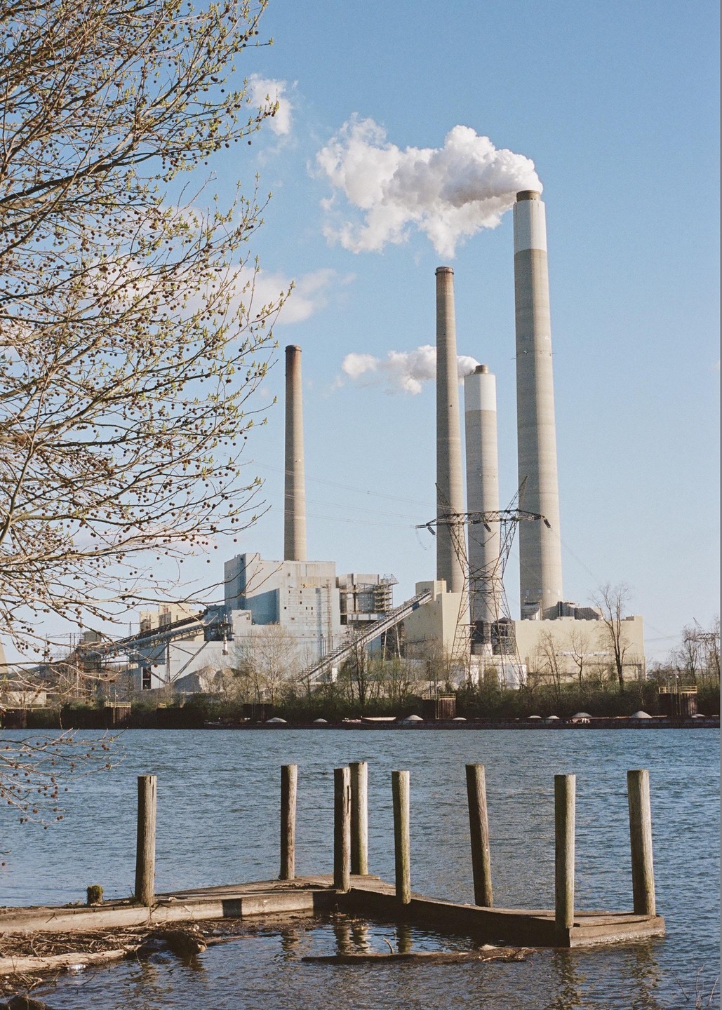 A power plant with multiple smokestacks emitting smoke is visible across a body of water, with a small wooden dock in the foreground and tree branches on the left.