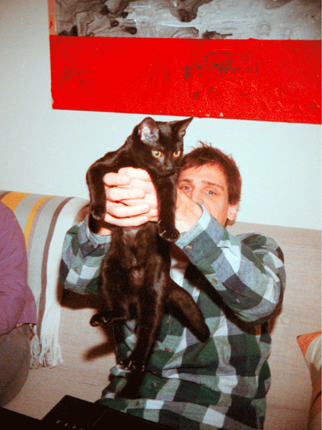 A man in a plaid shirt holds a black cat with yellow eyes.