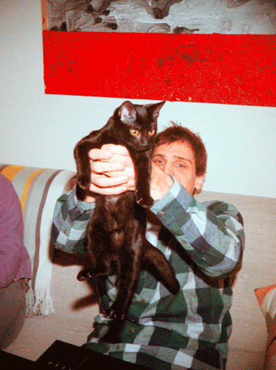 A man in a plaid shirt holds a black cat with yellow eyes.
