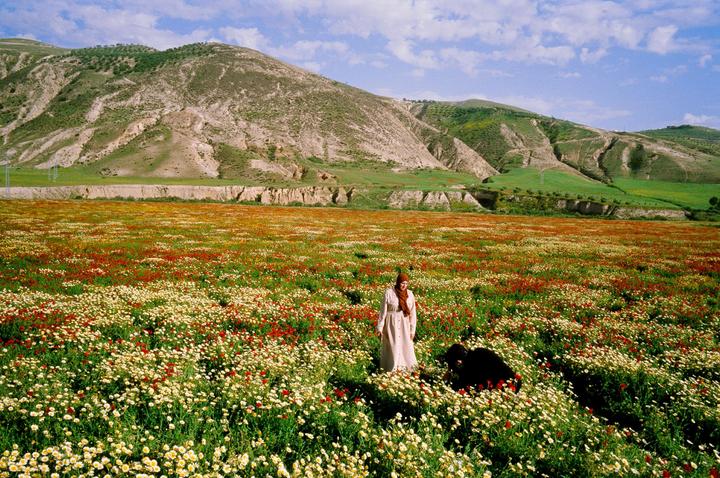 A woman stands in a field of red and white flowers with mountains in the background.
