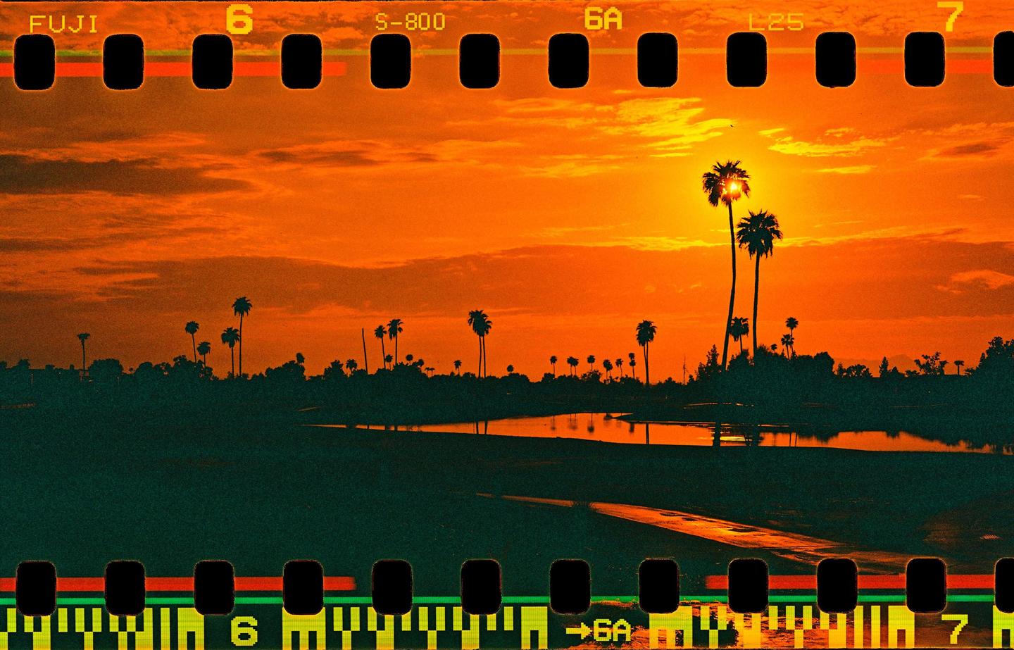 A vibrant orange sunset illuminates a landscape with palm trees and a body of water, framed by film sprockets.