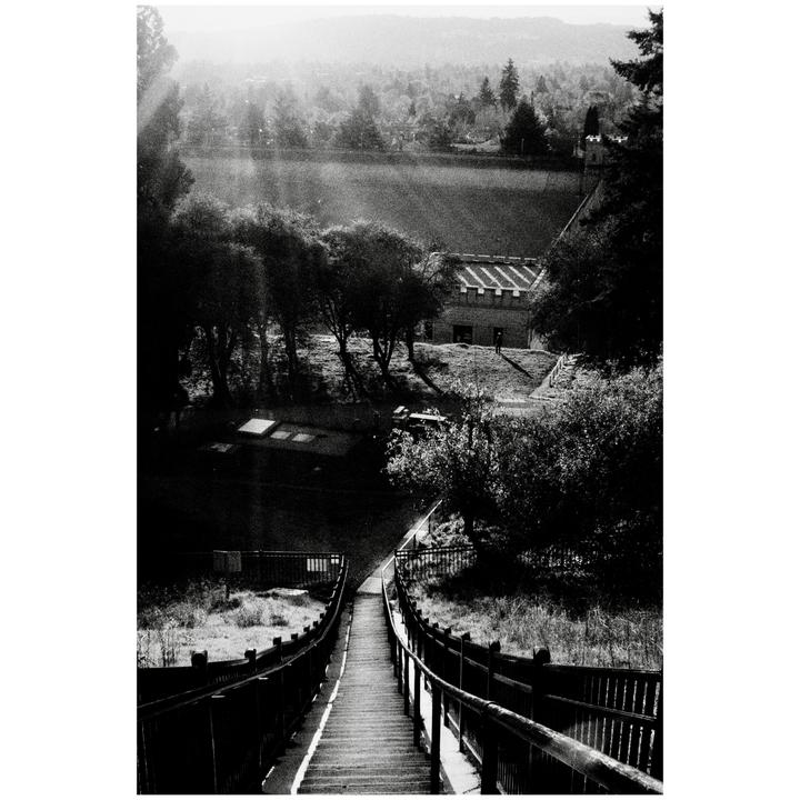 A long wooden staircase leads down to a building with a patterned roof, surrounded by trees and a distant city.