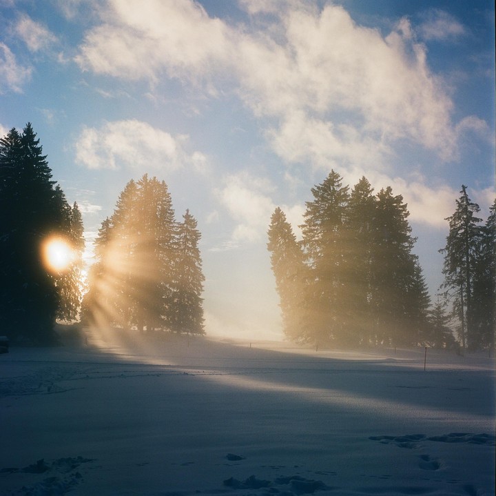 Sunlight streams through pine trees onto a snow-covered field under a cloudy sky.
