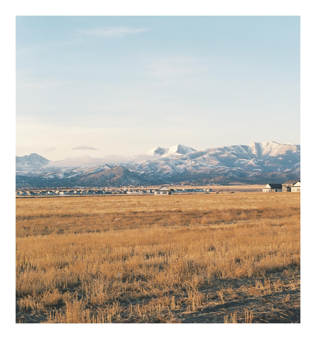 A golden field stretches towards a town at the base of snow-capped mountains under a clear sky.
