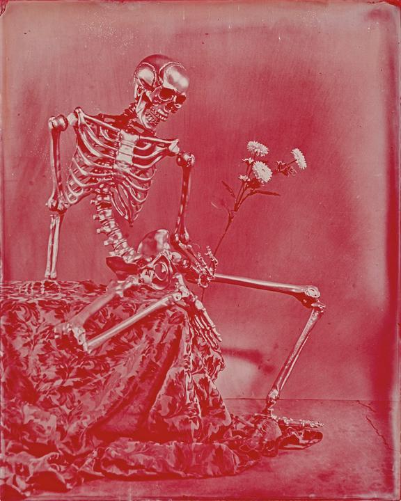 A skeleton sits on a draped surface, holding a flower.