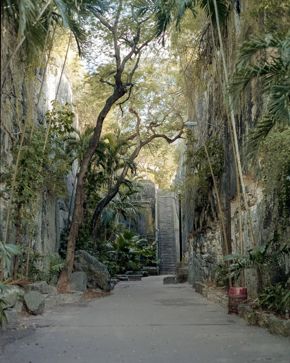 A narrow path leads through a rocky gorge with lush vegetation and a long staircase in the distance.