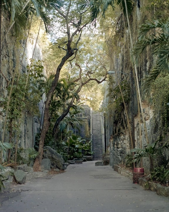 A narrow path leads through a rocky gorge with lush vegetation and a long staircase in the distance.