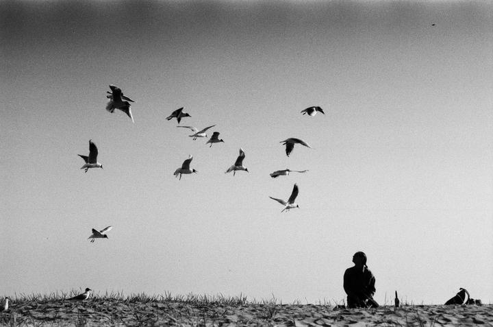 A person sits on a sandy hill with many birds flying in the sky above them.
