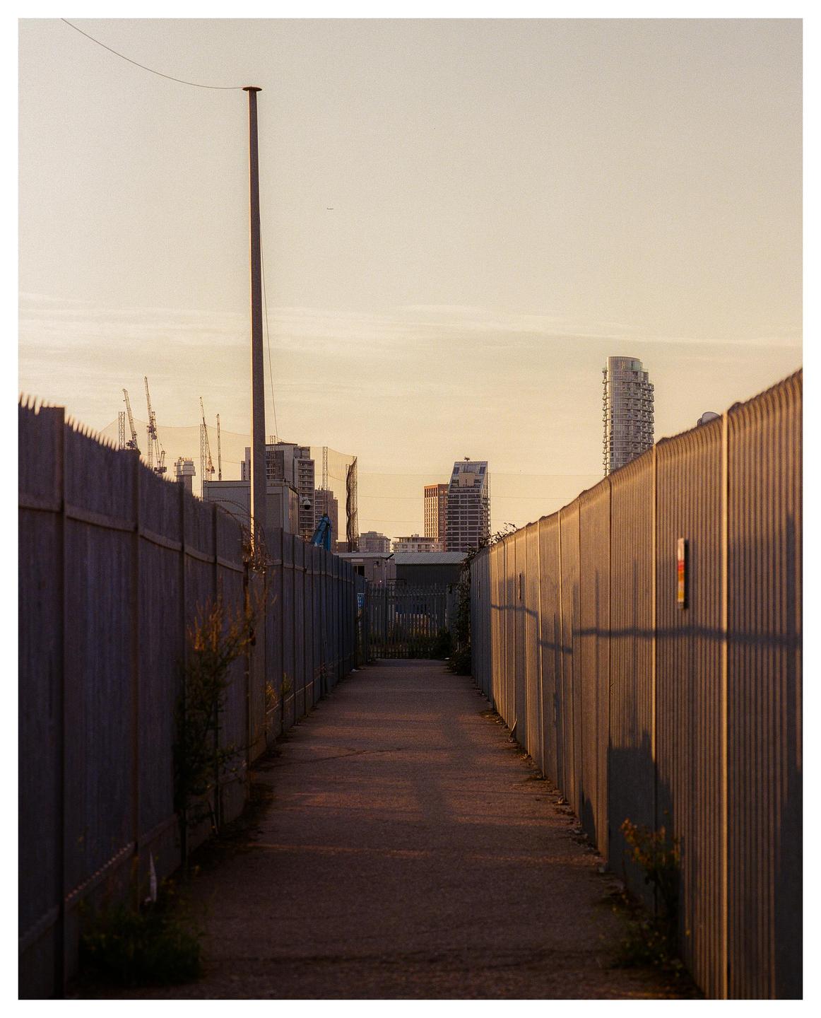 A narrow path between two tall fences leads towards a city skyline at sunset.