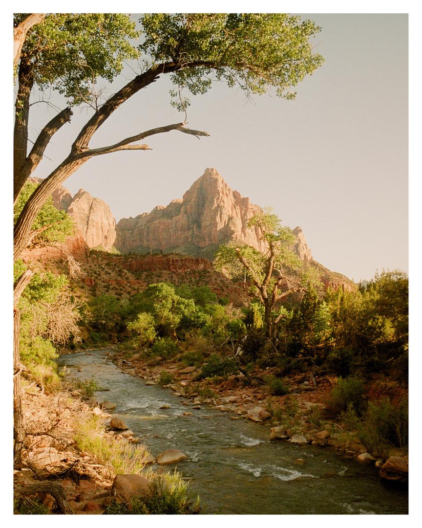 Southwest on film 🎞️ , shot on LEICA M6