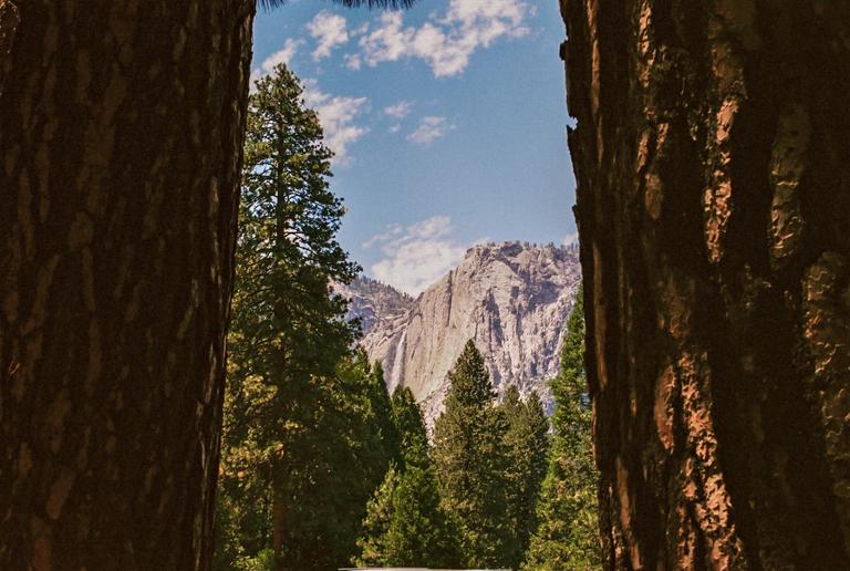 Two tree trunks frame a view of a waterfall cascading down a mountain into a forest.