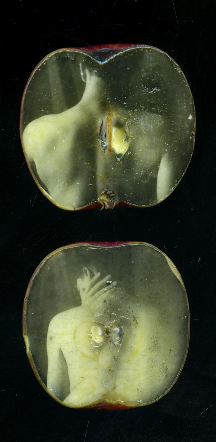 Two cross-sections of an apple each contain a self-portrait.