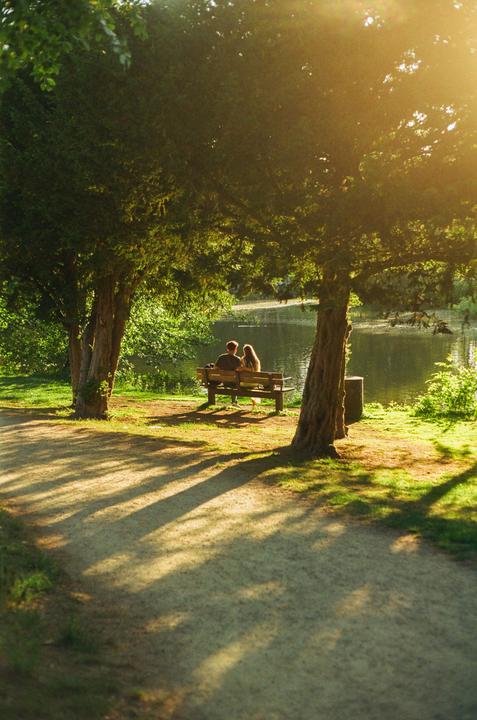 A couple sits on a bench by a lake, shaded by trees, with sunlight filtering through the leaves.